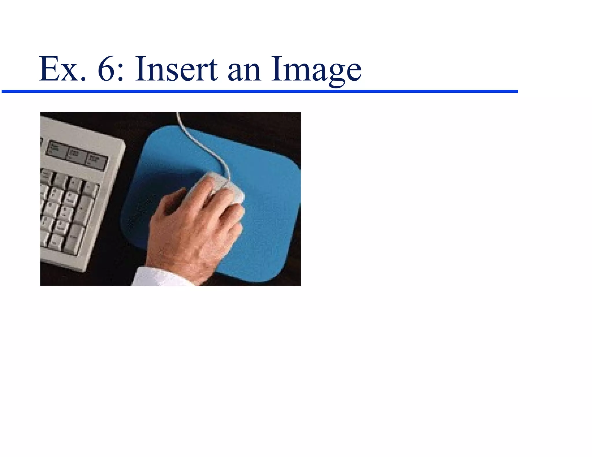 Ex. 6: Insert an Image 