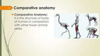 AN 1.1 introduction anatomical terminology-Dr.Gosai | PDF