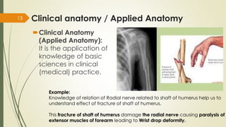 AN 1.1 introduction anatomical terminology-Dr.Gosai | PDF