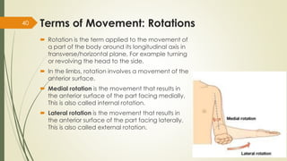 AN 1.1 introduction anatomical terminology-Dr.Gosai | PDF