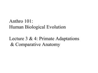 Anthro 101:
Human Biological Evolution
Lecture 3 & 4: Primate Adaptations
& Comparative Anatomy
 