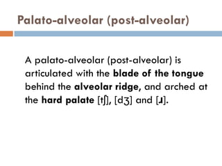 AN423-Belfakir-Intro-2-Lx-3-Articulatory-phonetics-consonants.pdf