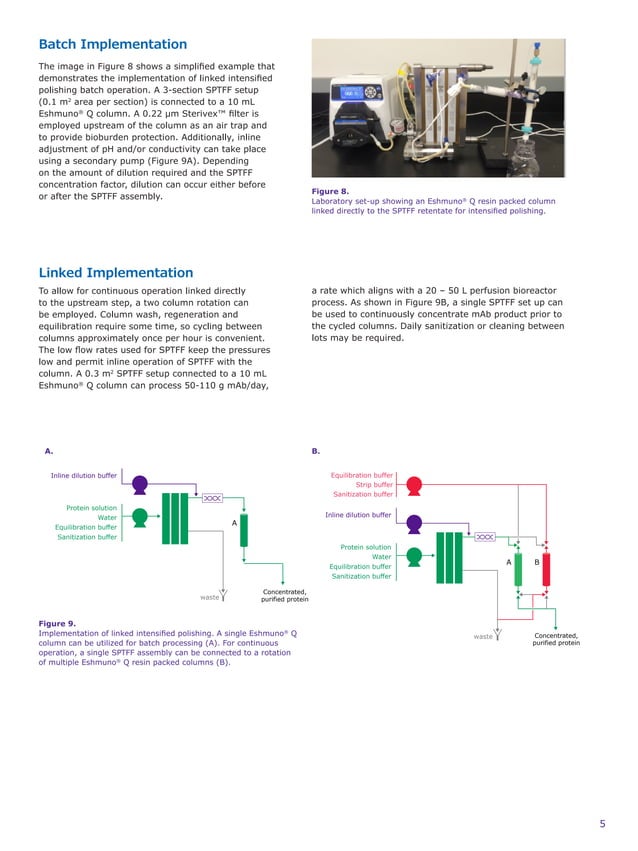 Intensified polishing using singlepass tangential flow filtration