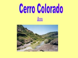 Ana Cerro Colorado 