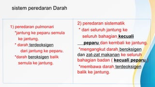 sistem peredaran Darah
1) peredaran pulmonari
*jantung ke peparu semula
ke jantung.
* darah terdeoksigen
dari jantung ke peparu.
*darah beroksigen balik
semula ke jantung.
2) peredaran sistematik
* dari seluruh jantung ke
seluruh bahagian kecuali
peparu dan kembali ke jantung.
*mengangkut darah beroksigen
dan zat-zat makanan ke seluruh
bahagian badan ( kecuali peparu )
*membawa darah terdeoksigen
balik ke jantung.
 