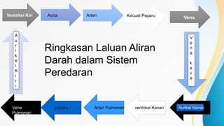 Ringkasan Laluan Aliran
Darah dalam Sistem
Peredaran
Ventrikel Kiri Aorta Arteri Kecuali Peparu
Vena
V
e
n
a
k
a
v
a
Aurikel Kananventrikel KananArteri PulmonaripeparuVena
Pulmonari
A
u
r
i
k
e
l
K
i
r
i
 