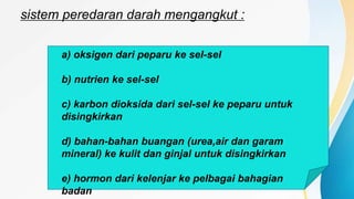sistem peredaran darah mengangkut :
a) oksigen dari peparu ke sel-sel
b) nutrien ke sel-sel
c) karbon dioksida dari sel-sel ke peparu untuk
disingkirkan
d) bahan-bahan buangan (urea,air dan garam
mineral) ke kulit dan ginjal untuk disingkirkan
e) hormon dari kelenjar ke pelbagai bahagian
badan
 