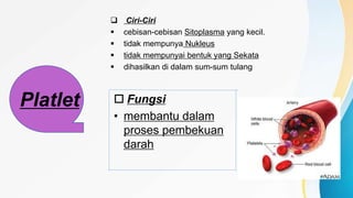  Ciri-Ciri
 cebisan-cebisan Sitoplasma yang kecil.
 tidak mempunya Nukleus
 tidak mempunyai bentuk yang Sekata
 dihasilkan di dalam sum-sum tulang
 Fungsi
• membantu dalam
proses pembekuan
darah
Platlet
 