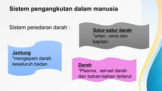 Sistem pengangkutan dalam manusia
Sistem peredaran darah :
Jantung
*mengepam darah
keseluruh badan
Salur-salur darah
*arteri, vena dan
kapilari
Darah
*Plasma, sel-sel darah
dan bahan-bahan terlarut
 