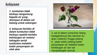 kelayuan
1. tumbuhan tidak
berkayu bergantung
kepada air yang
disimpan di dalam sel
batang untuk sokongan
2. kelayuan berlaku di
dalam tumbuhan tidak
berkayu apabila berlaku
kehilangan air melalui
bahagian aerial
tumbuhan melebihi
kadar penyerapan air
oleh akar
3. sel di dalam tumbuhan hilang
kesegahannya lalu tubuhan itu
akan melentur hingga petang
4. pada waktu petang kadar
penyerapan air melebihi kadar
kehilangan air dan sel
menjadisegah semula
 