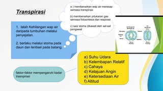 Transpirasi
1. Ialah Kehilangan wap air
daripada tumbuhan melalui
penyejatan.
2. berlaku melalui stoma pada
daun dan lentisel pada batang.
a ) membenarkan wap air meresap
semasa transpirasi
b) membenarkan prtukaran gas
semasa fotosintesis dan respirasi
c) saiz stoma dikawal oleh sel-sel
pengawal.
faktor-faktor mempengaruhi kadar
trasnpirasi
a) Suhu Udara
b) Kelembapan Relatif
c) Cahaya
d) Kelajuan Angin
e) Ketersediaan Air
f) Altitud
 