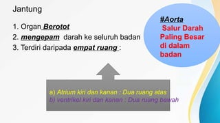 Jantung
1. Organ Berotot
2. mengepam darah ke seluruh badan
3. Terdiri daripada empat ruang :
a) Atrium kiri dan kanan : Dua ruang atas
b) ventrikel kiri dan kanan : Dua ruang bawah
#Aorta
Salur Darah
Paling Besar
di dalam
badan
 