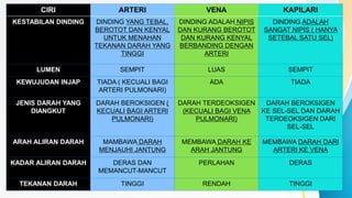 CIRI ARTERI VENA KAPILARI
KESTABILAN DINDING DINDING YANG TEBAL,
BEROTOT DAN KENYAL
UNTUK MENAHAN
TEKANAN DARAH YANG
TINGGI
DINDING ADALAH NIPIS
DAN KURANG BEROTOT
DAN KURANG KENYAL
BERBANDING DENGAN
ARTERI
DINDING ADALAH
SANGAT NIPIS ( HANYA
SETEBAL SATU SEL)
LUMEN SEMPIT LUAS SEMPIT
KEWUJUDAN INJAP TIADA ( KECUALI BAGI
ARTERI PULMONARI)
ADA TIADA
JENIS DARAH YANG
DIANGKUT
DARAH BEROKSIGEN (
KECUALI BAGI ARTERI
PULMONARI)
DARAH TERDEOKSIGEN
(KECUALI BAGI VENA
PULMONARI)
DARAH BEROKSIGEN
KE SEL-SEL DAN DARAH
TERDEOKSIGEN DARI
SEL-SEL
ARAH ALIRAN DARAH MAMBAWA DARAH
MENJAUHI JANTUNG
MEMBAWA DARAH KE
ARAH JANTUNG
MEMBAWA DARAH DARI
ARTERI KE VENA
KADAR ALIRAN DARAH DERAS DAN
MEMANCUT-MANCUT
PERLAHAN DERAS
TEKANAN DARAH TINGGI RENDAH TINGGI
 