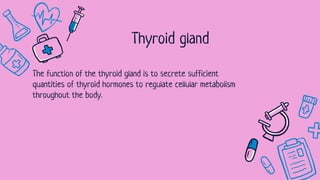Thyroid gland
The function of the thyroid gland is to secrete sufficient
quantities of thyroid hormones to regulate cellular metabolism
throughout the body.
 