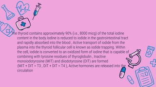 The thyroid contains approximately 90% (i.e., 8000 micg) of the total iodine
content in the body.Iodine is reduced to iodide in the gastrointestinal tract
and rapidly absorbed into the blood , Active transport of iodide from the
plasma into the thyroid follicular cell is known as iodide trapping. Within
the cell, iodide is converted to an oxidized form of iodine that is capable of
combining with tyrosine residues of thyroglobulin , Inactive
monoiodotyrosine (MIT) and diiodotyrosine (DIT) are formed
(MIT + DIT = T3 , DIT + DIT = T4 ), Active hormones are released into the
circulation
 