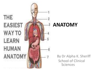 ANATOMY
By Dr Alpha K. Sheriff
School of Clinical
Sciences
 