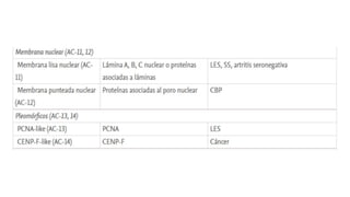 Comprehensive Overview of Anti-Nuclear Antibodies in Autoimmune Disease ...