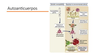 Comprehensive Overview of Anti-Nuclear Antibodies in Autoimmune Disease ...