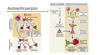 Comprehensive Overview of Anti-Nuclear Antibodies in Autoimmune Disease ...