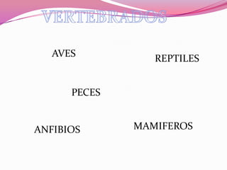 AVES          REPTILES


      PECES


ANFIBIOS      MAMIFEROS
 