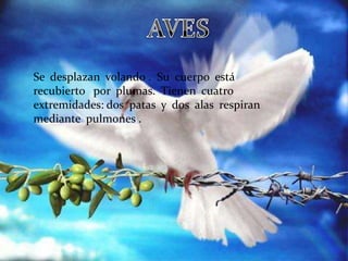 Se desplazan volando . Su cuerpo está
recubierto por plumas. Tienen cuatro
extremidades: dos patas y dos alas respiran
mediante pulmones .
 