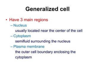 Generalization Cell Ana-Lec-6-cell-structure_ppt.ppt