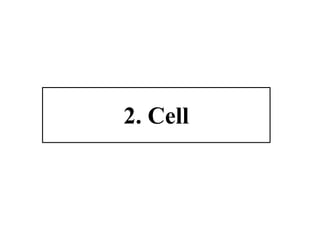 2. Cell
 