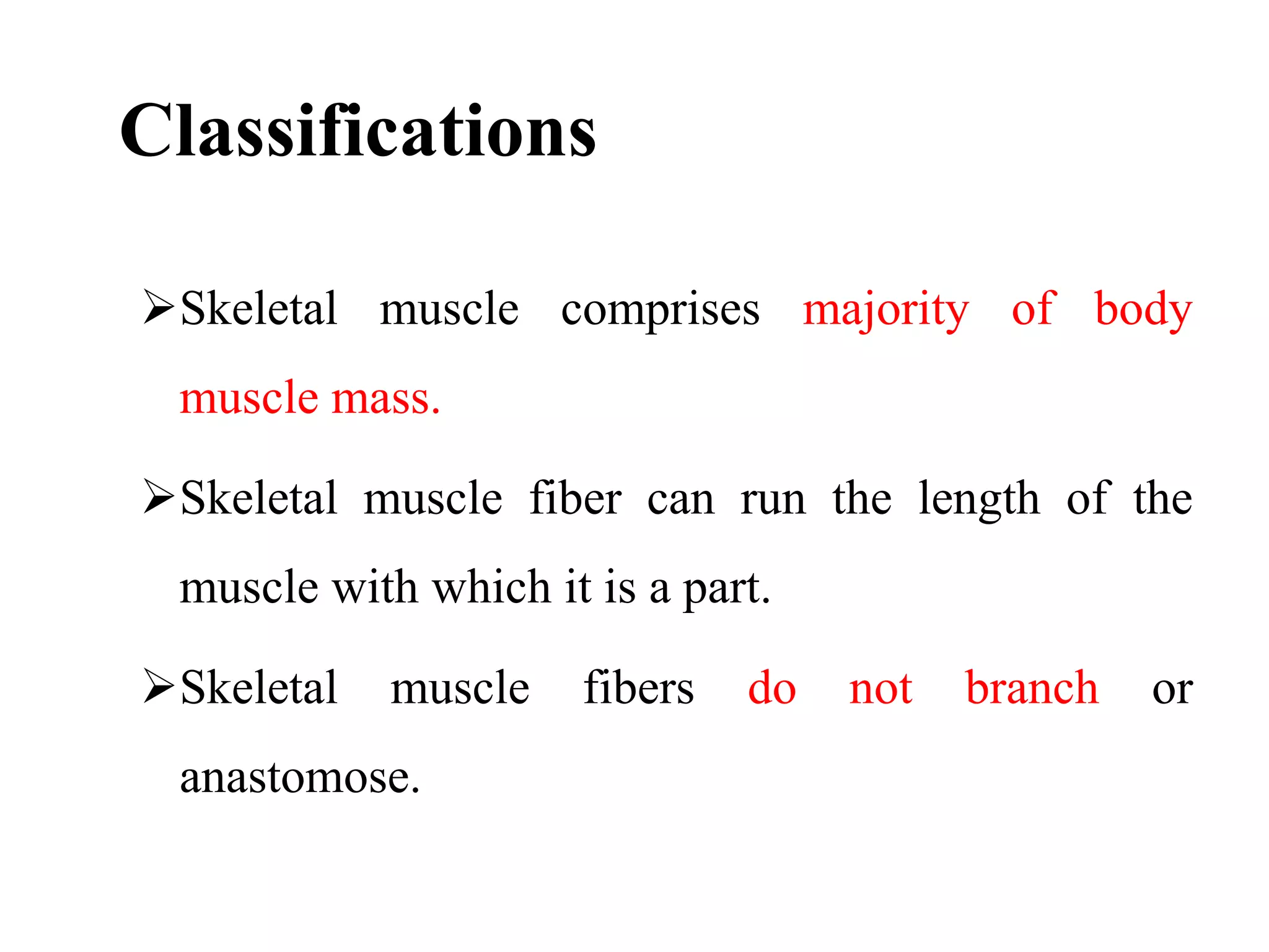 Classifications
Skeletal muscle comprises majority of body
muscle mass.
Skeletal muscle fiber can run the length of the
muscle with which it is a part.
Skeletal muscle fibers do not branch or
anastomose.
 
