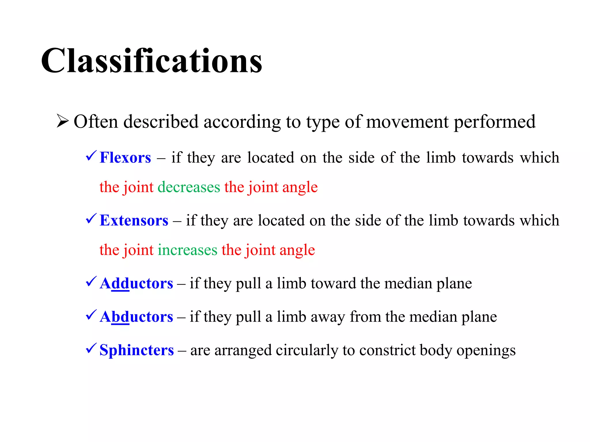 Classifications
Often described according to type of movement performed
Flexors – if they are located on the side of the limb towards which
the joint decreases the joint angle
Extensors – if they are located on the side of the limb towards which
the joint increases the joint angle
Adductors – if they pull a limb toward the median plane
Abductors – if they pull a limb away from the median plane
Sphincters – are arranged circularly to constrict body openings
 
