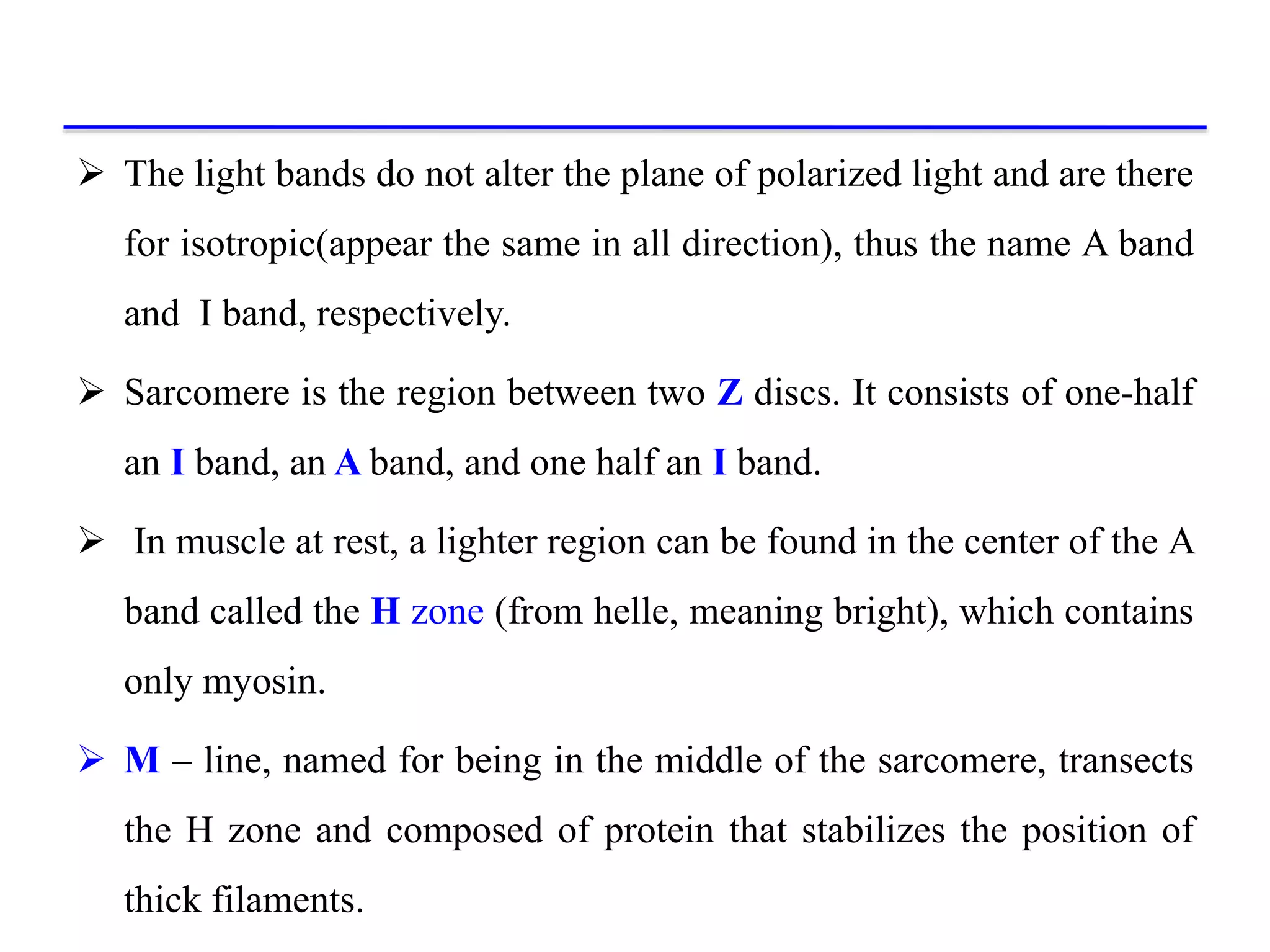  The light bands do not alter the plane of polarized light and are there
for isotropic(appear the same in all direction), thus the name A band
and I band, respectively.
 Sarcomere is the region between two Z discs. It consists of one-half
an I band, an A band, and one half an I band.
 In muscle at rest, a lighter region can be found in the center of the A
band called the H zone (from helle, meaning bright), which contains
only myosin.
 M – line, named for being in the middle of the sarcomere, transects
the H zone and composed of protein that stabilizes the position of
thick filaments.
 
