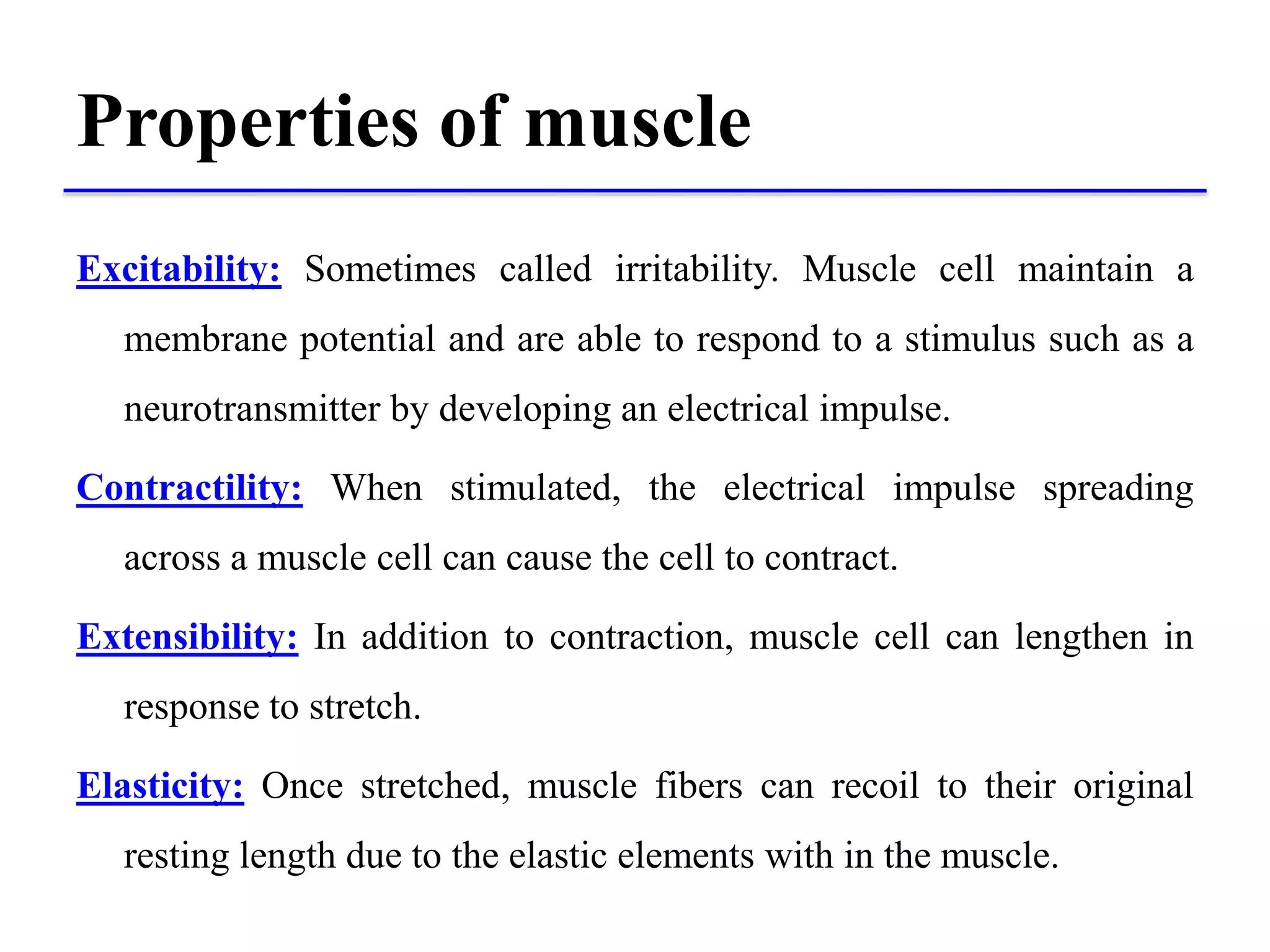 Properties of muscle
Excitability: Sometimes called irritability. Muscle cell maintain a
membrane potential and are able to respond to a stimulus such as a
neurotransmitter by developing an electrical impulse.
Contractility: When stimulated, the electrical impulse spreading
across a muscle cell can cause the cell to contract.
Extensibility: In addition to contraction, muscle cell can lengthen in
response to stretch.
Elasticity: Once stretched, muscle fibers can recoil to their original
resting length due to the elastic elements with in the muscle.
 