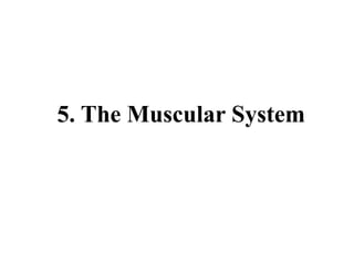 5. The Muscular System
 