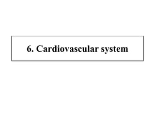 6. Cardiovascular system
 