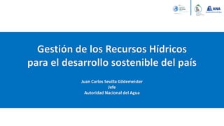 Juan Carlos Sevilla Gildemeister
Jefe
Autoridad Nacional del Agua
 