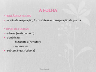 A FOLHA
• FUNÇÃO DA FOLHA:
• - órgão de respiração, fotossíntese e transpiração da planta

• TIPOS DE FOLHAS:
• - aéreas (mais comum)
• - aquáticas:
         - flutuantes (nenúfar)
         - submersas
• - subterrâneas (cebola)




                              Fevereiro 2013
 