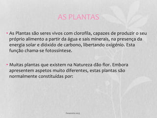 AS PLANTAS
• As Plantas são seres vivos com clorofila, capazes de produzir o seu
  próprio alimento a partir da água e sais minerais, na presença da
  energia solar e dióxido de carbono, libertando oxigénio. Esta
  função chama-se fotossíntese.

• Muitas plantas que existem na Natureza dão flor. Embora
  apresentem aspetos muito diferentes, estas plantas são
  normalmente constituídas por:




                             Fevereiro 2013
 