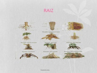 RAIZ




Fevereiro 2013
 