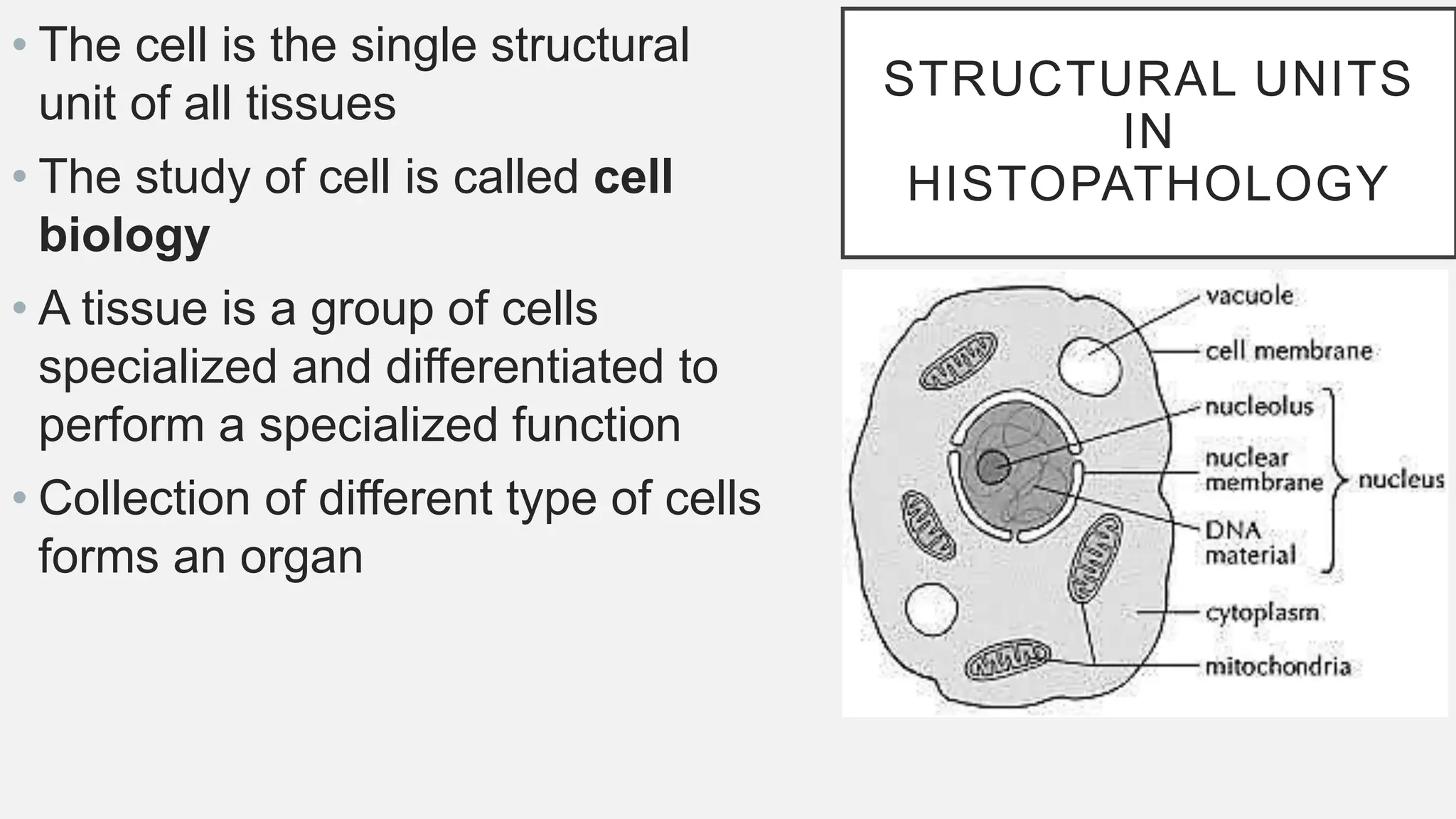 STRUCTURAL UNITS
IN
HISTOPATHOLOGY
• The cell is the single structural
unit of all tissues
• The study of cell is called cell
biology
• A tissue is a group of cells
specialized and differentiated to
perform a specialized function
• Collection of different type of cells
forms an organ
 