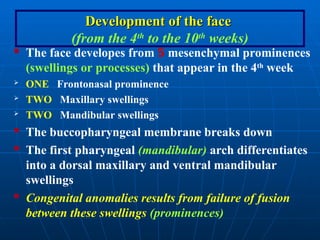 Ana_6_Development of the face. anatomy geneticsppt | PPT