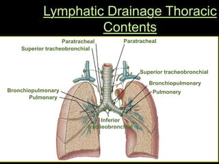 Lymphatic Drainage Thoracic
Contents
 Tracheobronchial nodes – 5 groups
 Paratracheal
 Superior tracheobronchial
 Inferior tracheobronchial
 Bronchopulmonary
 Pulmonary
 Left & right bronchomediastinal trunks drain
into thoracic duct & right lymphatic duct
Paratracheal Paratracheal
Inferior
tracheobronchial
Superior tracheobronchial
Bronchiopulmonary
Bronchiopulmonary
Pulmonary
Pulmonary
Superior tracheobronchial
 