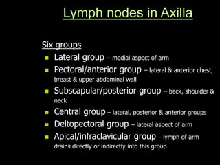 Lymph nodes in Axilla
Six groups
 Lateral group – medial aspect of arm
 Pectoral/anterior group – lateral & anterior chest,
breast & upper abdominal wall
 Subscapular/posterior group – back, shoulder &
neck
 Central group – lateral, posterior & anterior groups
 Deltopectoral group – lateral aspect of arm
 Apical/infraclavicular group – lymph of arm
drains directly or indirectly into this group
 