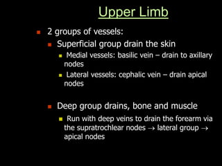 Upper Limb
 2 groups of vessels:
 Superficial group drain the skin
 Medial vessels: basilic vein – drain to axillary
nodes
 Lateral vessels: cephalic vein – drain apical
nodes
 Deep group drains, bone and muscle
 Run with deep veins to drain the forearm via
the supratrochlear nodes  lateral group 
apical nodes
 