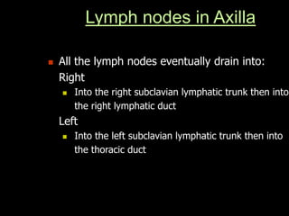 Lymph nodes in Axilla
 All the lymph nodes eventually drain into:
Right
 Into the right subclavian lymphatic trunk then into
the right lymphatic duct
Left
 Into the left subclavian lymphatic trunk then into
the thoracic duct
 