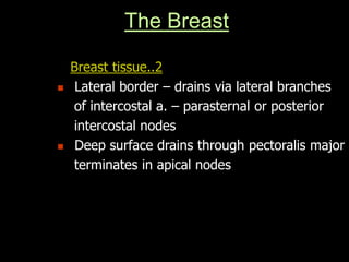 Breast tissue..2
 Lateral border – drains via lateral branches
of intercostal a. – parasternal or posterior
intercostal nodes
 Deep surface drains through pectoralis major
terminates in apical nodes
The Breast
 