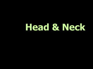 Head & Neck
 