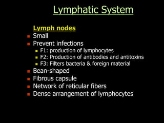 Lymph nodes
 Small
 Prevent infections
 F1: production of lymphocytes
 F2: Production of antibodies and antitoxins
 F3: Filters bacteria & foreign material
 Bean-shaped
 Fibrous capsule
 Network of reticular fibers
 Dense arrangement of lymphocytes
Lymphatic System
 
