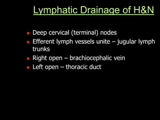 Lymphatic Drainage of H&N
 Deep cervical (terminal) nodes
 Efferent lymph vessels unite – jugular lymph
trunks
 Right open – brachiocephalic vein
 Left open – thoracic duct
 