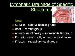 Nose
 Surface – submandibular group
 Root – parotid group
 Anterior nasal cavity – submandibular group
 Posterior nasal cavity – deep cervical nodes
 Sinuses – retropharyngeal group
Lymphatic Drainage of Specific
Structures
 