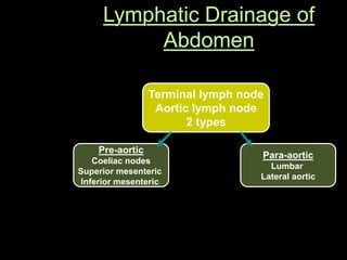 Lymphatic Drainage of
Abdomen
Terminal lymph node
Aortic lymph node
2 types
Pre-aortic
Coeliac nodes
Superior mesenteric
Inferior mesenteric
Para-aortic
Lumbar
Lateral aortic
 