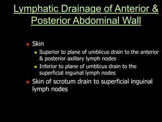 Lymphatic Drainage of Anterior &
Posterior Abdominal Wall
 Skin
 Superior to plane of umblicus drain to the anterior
& posterior axillary lymph nodes
 Inferior to plane of umblicus drain to the
superficial inguinal lymph nodes
 Skin of scrotum drain to superficial inguinal
lymph nodes
 